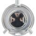 H4 24V 75/70W TRUCK LIGHT BOSCH KFZ-GLUEHLAMPE Trucklight WS 1987302441