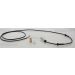 Sensor, Raddrehzahl 818023104
