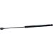 Gasfeder, Hinten L 500 575N SKODA Octavia (5E3) 1.6 TDI 12 LIFT-O-MAT® 288973 Gasfeder, Hinten L 500 575N SKODA Octavia (5E3) 1.6 TDI 12 LIFT-O-MAT® 288973