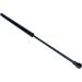 Gasfeder, Koffer-/Laderaum 12-0240