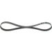 Keilrippenriemen FORD Fiesta Elastic 1987946142 Keilrippenriemen FORD Fiesta Elastic 1987946142