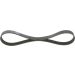 Keilrippenriemen FORD Elastic 1987946126