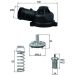 Integralthermostat mit Dichtung TI 244 83D