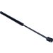 Gasfeder, Koffer-/Laderaum 12-0114