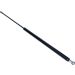 Gasfeder, Koffer-/Laderaum 12-0123