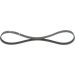 Keilrippenriemen BMW,FIAT Elastic 1987946127 Keilrippenriemen BMW,FIAT Elastic 1987946127