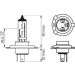 H4 12V 60/55W PLUS 90 BLISTER 1987301077 H4 12V 60/55W PLUS 90 BLISTER 1987301077