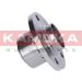 KAMOKA Radlagersatz 5500064 KAMOKA Radlagersatz 5500064