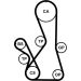 Continental CTAM Timing-Kit CT1016K2PRO