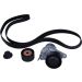 Satz Multi-Roved Gürtel. Renault Talisman, Trafic Iii 1.6 Dci 117209886R Satz Multi-Roved Gürtel. Renault Talisman, Trafic Iii 1.6 Dci 117209886R