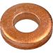 Dichtring, D÷senhalter Renault 1.5Dci/1.9Dci 919.333.100