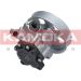 KAMOKA Hydraulikpumpe, Lenkung PP009 KAMOKA Hydraulikpumpe, Lenkung PP009