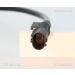 Sensor, Raddrehzahl 818023705
