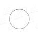 Sensorring ABS FORD,SEAT,VW Sharan 95-10 54206
