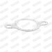 21 / Dichtung FORD Escort Kat 80055