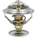 Thermostat, Kühlmittel 725200