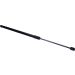 Gasfeder, Hinten L 572 620N 794469 Gasfeder, Hinten L 572 620N 794469