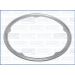 DICHTUNG, ABGASROHR AJU01558300