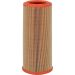 FILTRON Luftfilter AR 234/3
