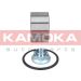 KAMOKA Radlagersatz 5600043 KAMOKA Radlagersatz 5600043