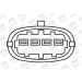 BorgWarner (BERU) Zündspule ZSE019 BorgWarner (BERU) Zündspule ZSE019