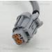 Sensor, Raddrehzahl 818014105