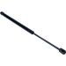 Gasfeder, Koffer-/Laderaum 12-0045