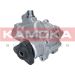 KAMOKA Hydraulikpumpe, Lenkung PP023