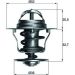 Thermostateinsatz mit Dichtung TX 12 88D