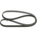Keilrippenriemen FORD,OPEL,PEUGEOT,CITROEN 1987946280 Keilrippenriemen FORD,OPEL,PEUGEOT,CITROEN 1987946280