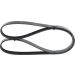 Keilrippenriemen PEUGEOT,OPEL,KIA,RENAULT 1987948389 Keilrippenriemen PEUGEOT,OPEL,KIA,RENAULT 1987948389