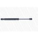 MONROE Gasfeder, Koffer-/Laderaum ML5341