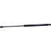 Gasfeder, Hinten L 538.5 750N 907517 Gasfeder, Hinten L 538.5 750N 907517
