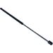 Gasfeder, Koffer-/Laderaum 12-0075
