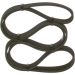 Keilrippenriemen FORD,BMW,VW,OPEL 1987947949 Keilrippenriemen FORD,BMW,VW,OPEL 1987947949