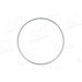 Sensorring ABS BMW 55330