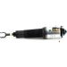 Arnott Luftfederbein VA li AUDI A8 w/Suspension 02-10 AS-2563