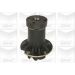 PA 134 Wasserpumpe MERCEDES W107,W123 PA134 PA 134 Wasserpumpe MERCEDES W107,W123 PA134