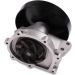 HEPU Wasserpumpe P606