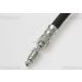 Bremsschlauch 815010106