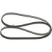 Keilrippenriemen HONDA Insight,Jazz,CR-Z 1987946289 Keilrippenriemen HONDA Insight,Jazz,CR-Z 1987946289