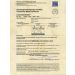 Hazet Feinzahn-Ratsche Hiper 916 Ps Vierkantstift, Massiv 12,5 mm (1/2'') 916HP Hazet Feinzahn-Ratsche Hiper 916 Ps Vierkantstift, Massiv 12,5 mm (1/2'') 916HP