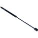 Gasfeder, Koffer-/Laderaum 12-0052