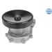 Wasserpumpe 8139321951 Wasserpumpe 8139321951