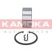 KAMOKA Radlagersatz 5600038 KAMOKA Radlagersatz 5600038