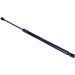 Gasfeder, Motorhaube 12-0276