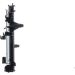 KÜHLER, MOTORKÜHLUNG BEHR Premium Line CR2598000P
