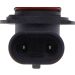 Glühlampe Hir2 12V/55W 9012 Px22D 78-0149