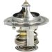 Thermostat, Kühlmittel 725251