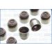 Dichtungssatz, Ventilschaft 57031300